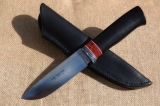 ar49-02